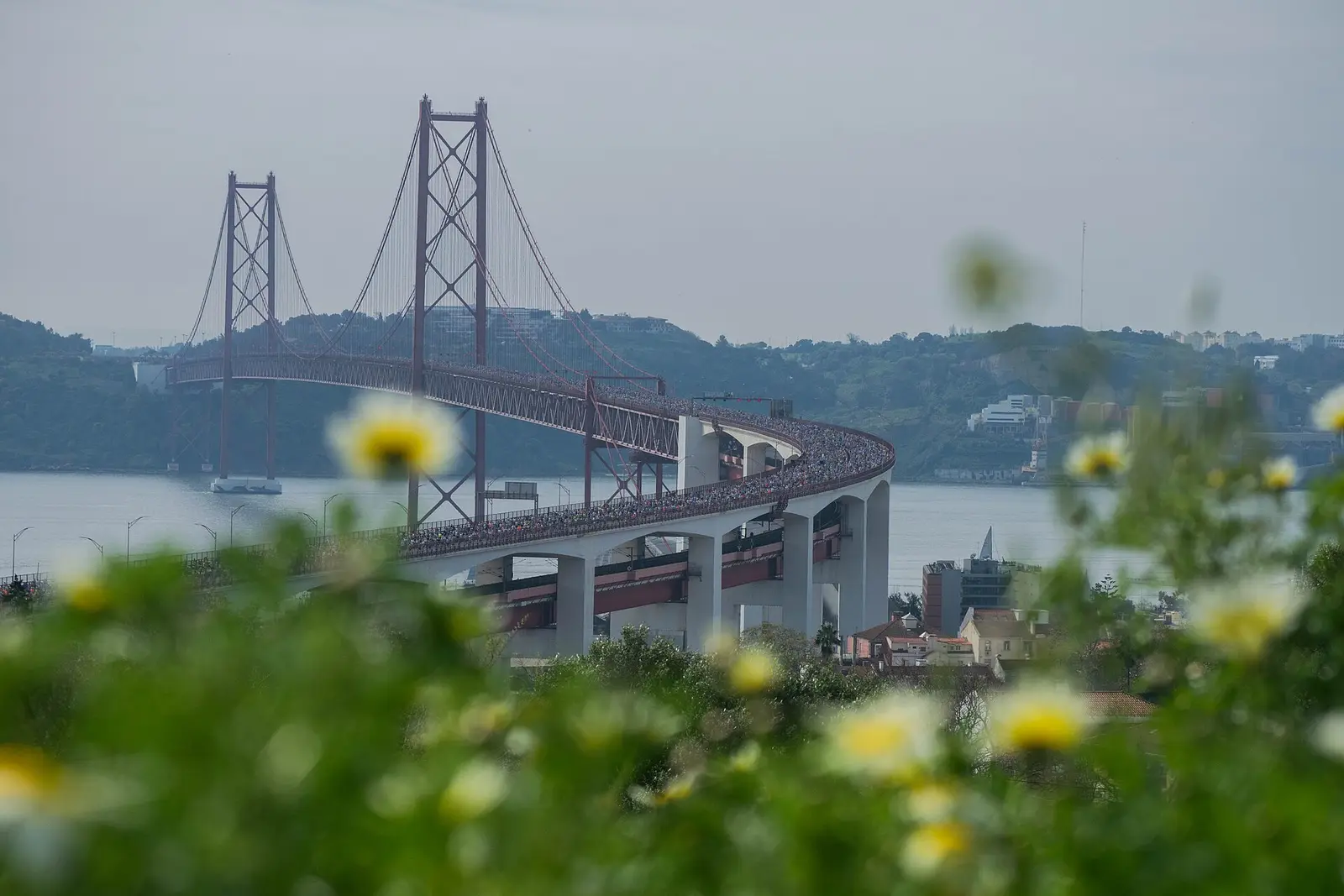 The 25 de Abril Bridge across the Tagus seen over yellow flowers at the Lisbon half marathon